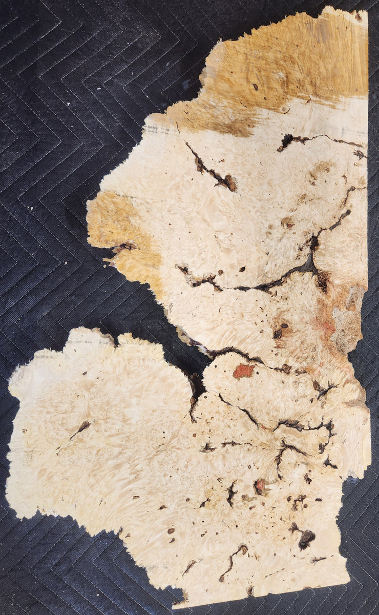 Box elder burl slab | Oakbrook Wood Turning Supply