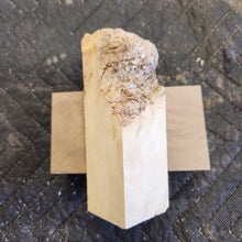 Casting Yellow cedar burl