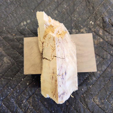 Casting Yellow cedar burl