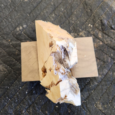 Casting Yellow cedar burl