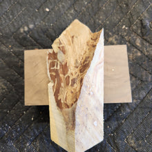 Casting Yellow cedar burl