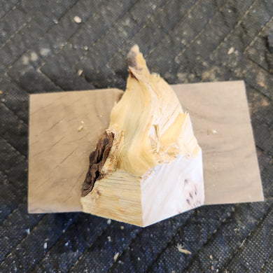 Casting Yellow cedar burl