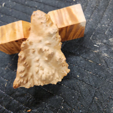 Casting red mallee Burl