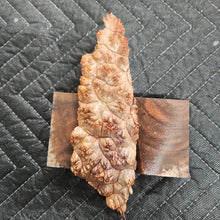 Casting box elder burl