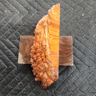 Casting box elder burl