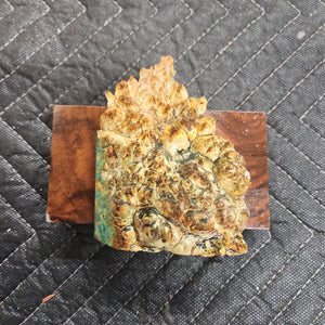 Casting box elder burl