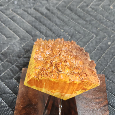 Casting box elder burl
