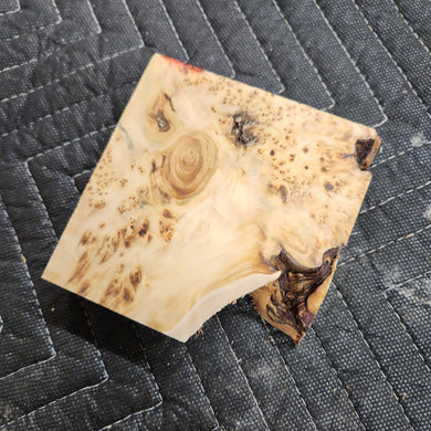 Casting yellow cedar burl