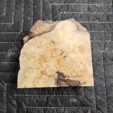 Casting yellow cedar burl