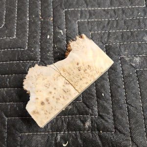 Casting yellow cedar burl