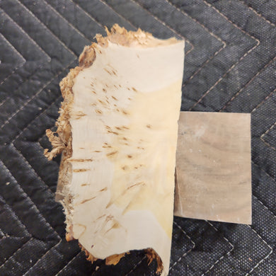 Casting yellow cedar burl