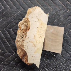 Casting yellow cedar burl