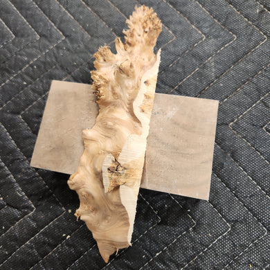 Casting yellow cedar burl