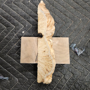 Casting yellow cedar burl