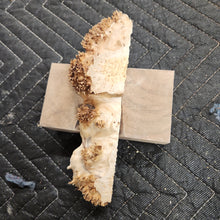 Casting yellow cedar burl