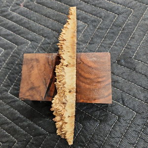 Casting elm burl