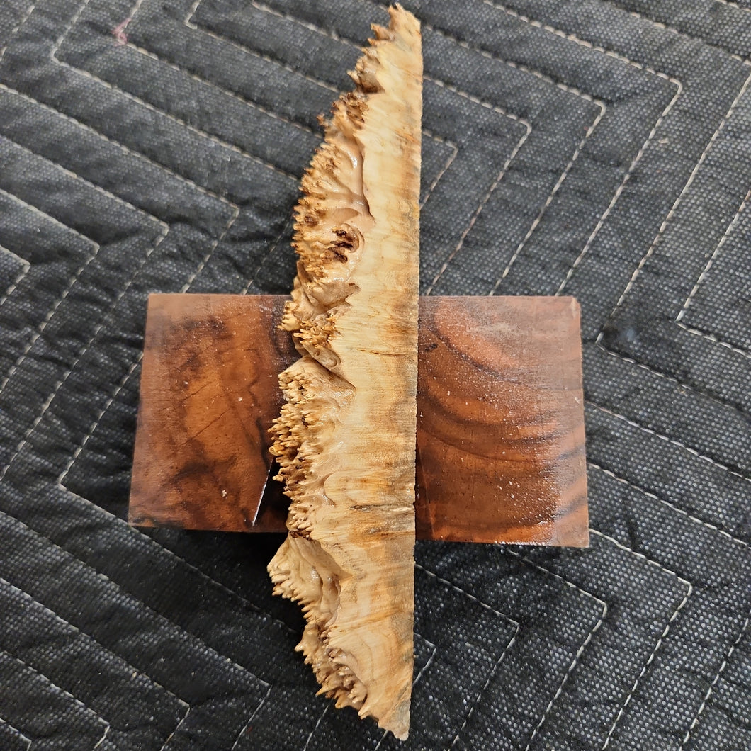 Casting elm burl
