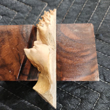 Casting Elm burl