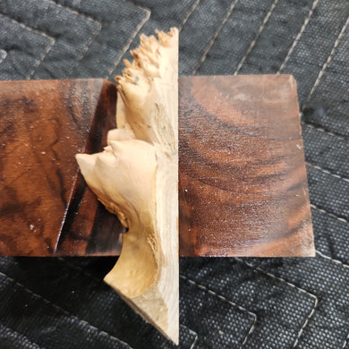 Casting Elm burl