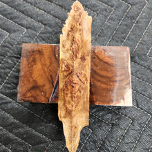 Casting Elm burl