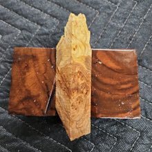 Casting Elm burl