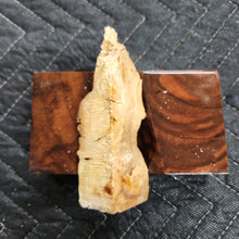 Casting Elm burl