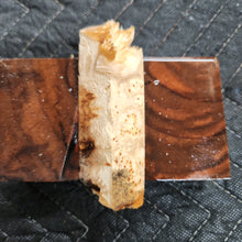 Casting Elm burl