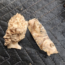 Casting Elm burl