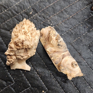 Casting Elm burl