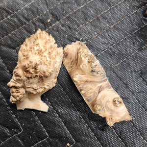 Casting Elm burl