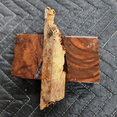 Casting Elm burl