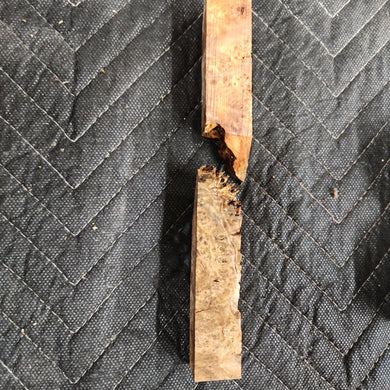 Casting Elm burl