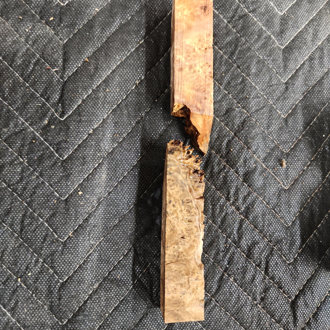 Casting Elm burl