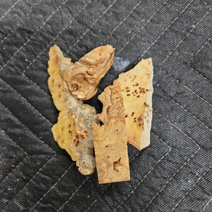 Casting Elm burl