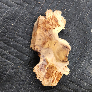 Casting Elm burl