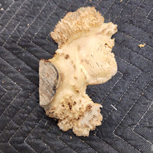 Casting Elm burl