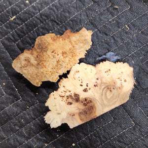 Casting Elm burl