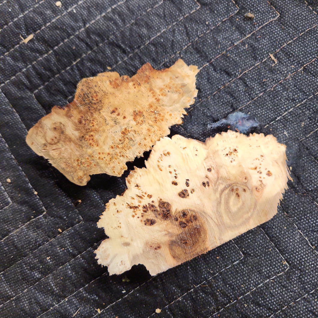 Casting Elm burl
