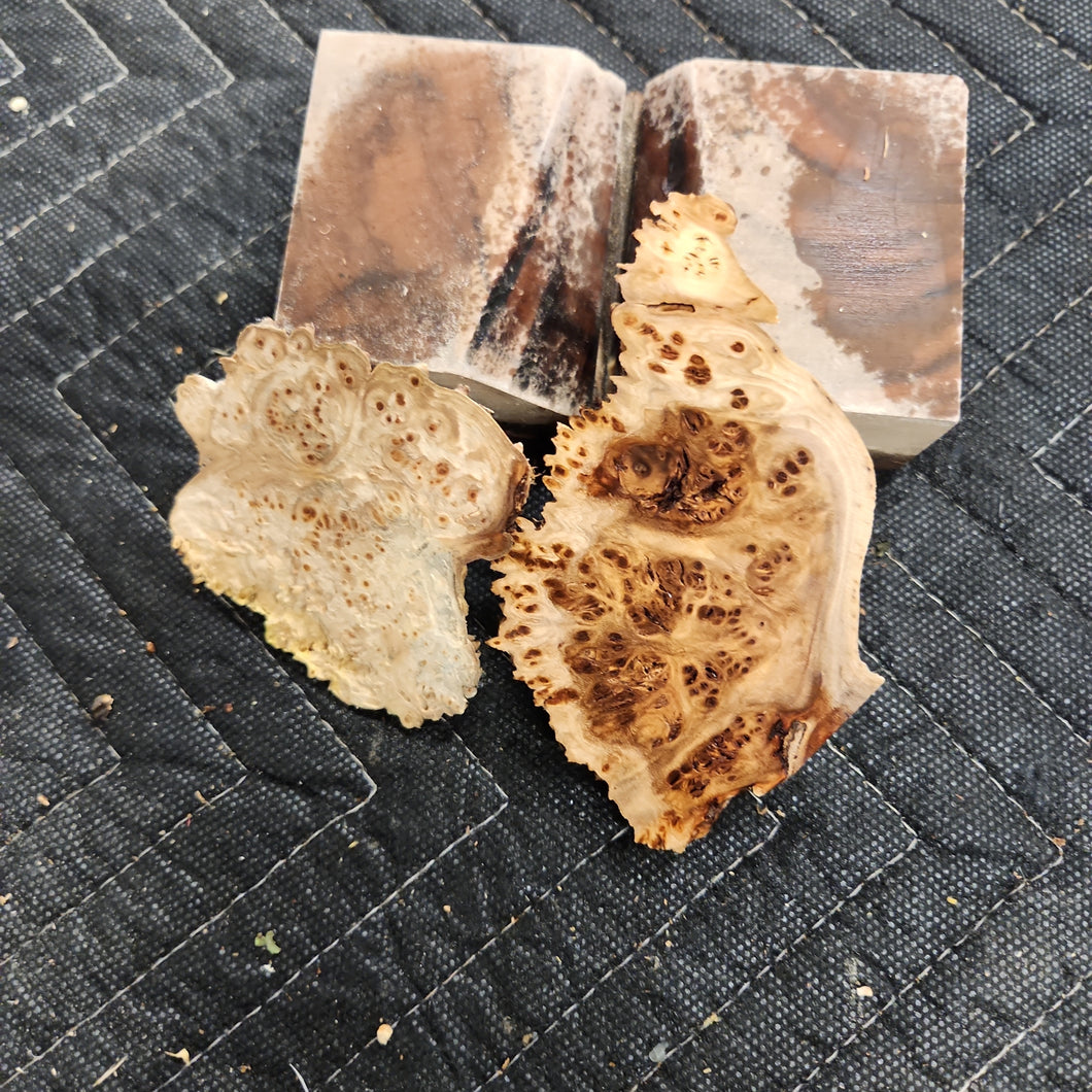Casting Elm burl