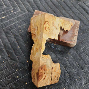 Casting Elm burl