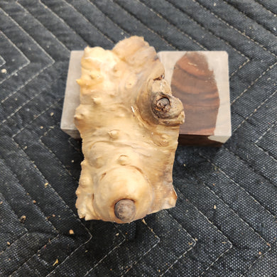 Casting Elm burl