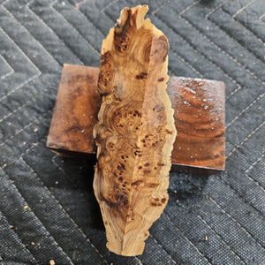 Casting Elm burl