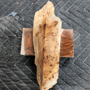 Casting Elm burl