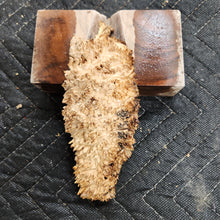 Casting Elm burl