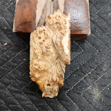 Casting Elm burl