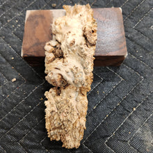 Casting Elm burl
