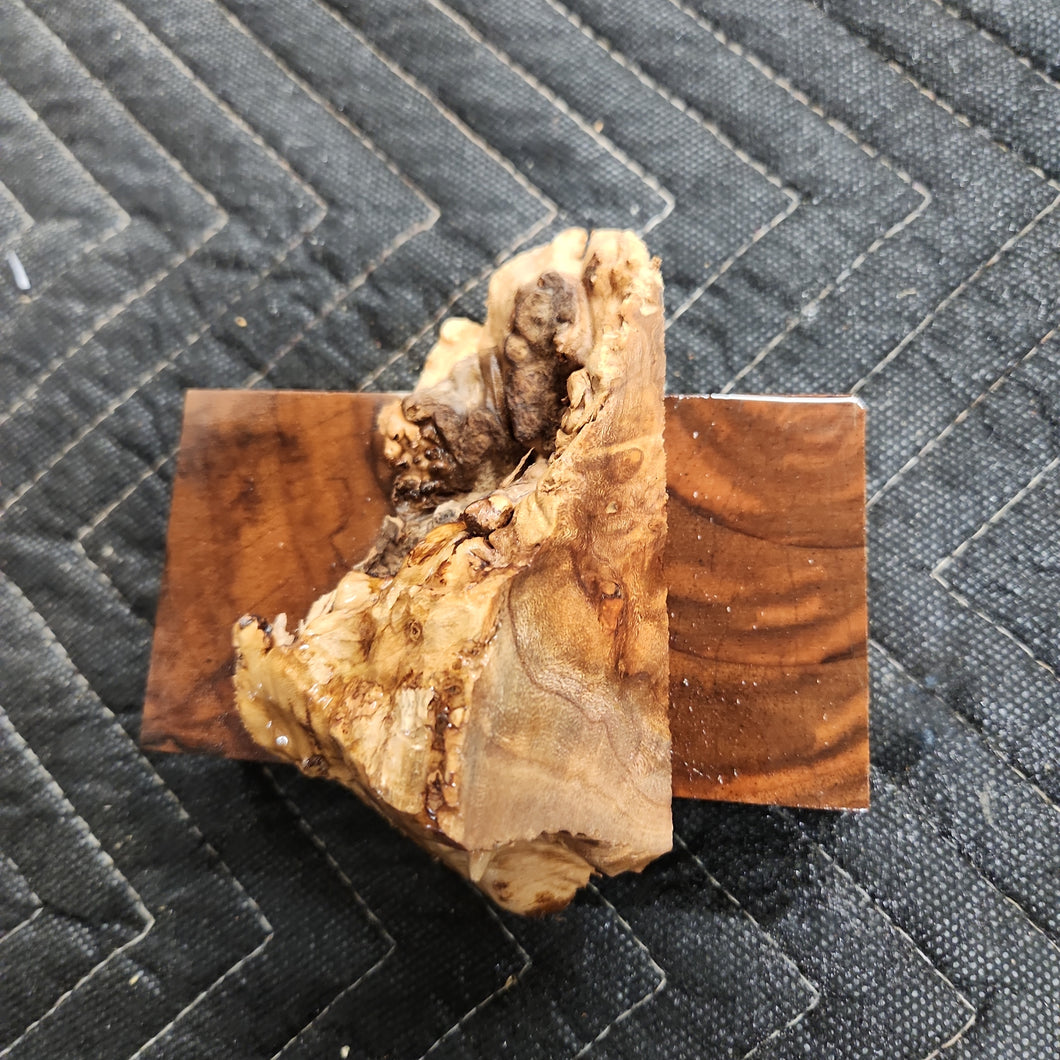 Casting Elm burl