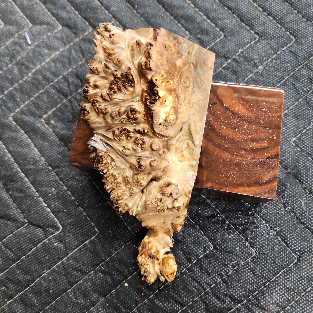 Casting Elm burl