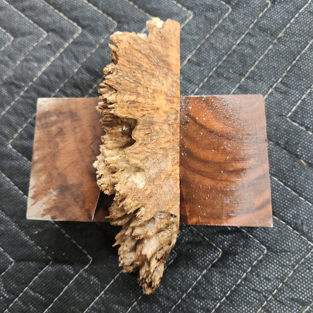 Casting Chechen burl