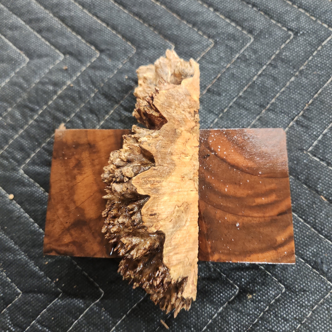 Casting Chechen burl